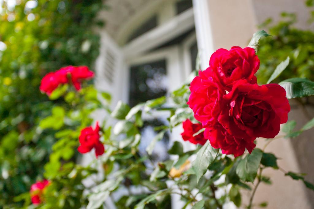 La Maison Jules Tours Ngoại thất bức ảnh